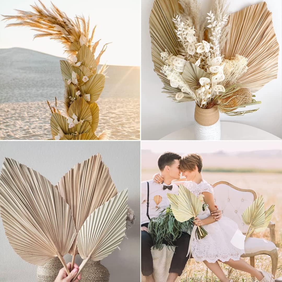 Natural Dried Palm Leaves Rental in Ottawa