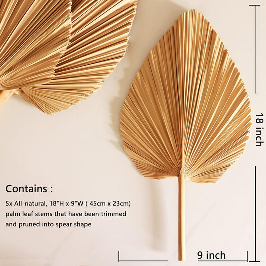 Natural Dried Palm Leaves  (Rental)