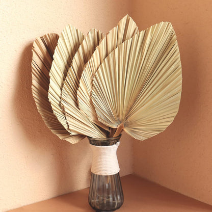 Natural Dried Palm Leaves  (Rental)