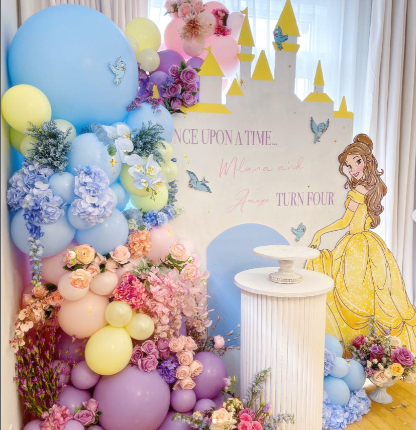 Princess Castle Backdrop rental in Ottawa